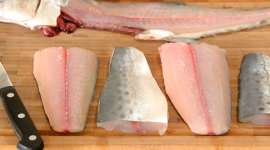 How to Fillet a Fish