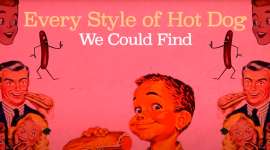 Every Style of Hot Dog We Could Find Across the US