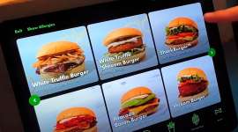 Rating Fast Food Burgers (USA edition)