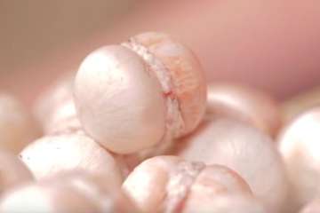 Sandwiched champignon mushrooms - recipe