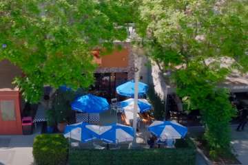 The New King of Fried Chicken?