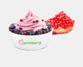 Pinkberry Pomegranate