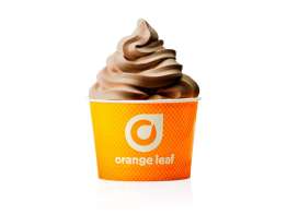 Orange Leaf brown yogurt