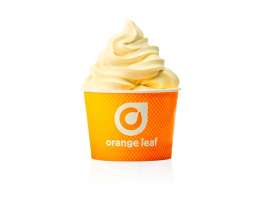 Orange Leaf yellow yogurt