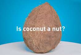 Is a coconut a nut?