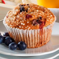 Au Bon Pain Low Fat Berry Muffin with Whole Grains