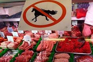 No Horse Meat